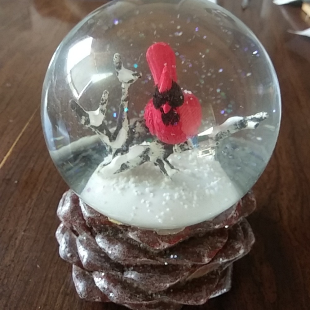 Water Snow globe
